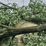 Severe Weather Warnings Expire in Western Pennsylvania as Cooler, Drier Air Returns to Pittsburgh This Week