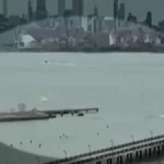 NTSB Says Bird Strike Likely Caused Fatal 2025 New York City Helicopter Crash Into the Hudson River