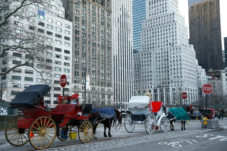Police and pedestrians near a horse-drawn carriage area in Central Park after a fatal crash