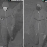 Woman Arrested in Bronx Schoolyard Shooting Death of 23-Year-Old Man, Police Seek Two Additional Suspects